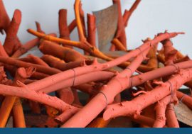 La Galería de Arte Enrique Mónaco recibirá la muestra “Fuego”, de Argañaraz y Pérez Guaita